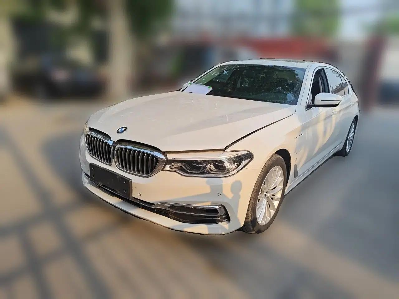 BMW 5 Series New Energy 2019 530Le Luxury Package — миниатюра 1