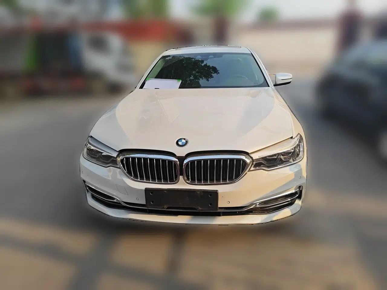BMW 5 Series New Energy 2019 530Le Luxury Package — миниатюра 2