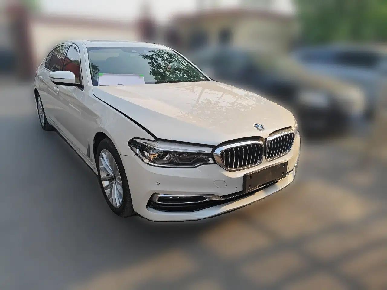 BMW 5 Series New Energy 2019 530Le Luxury Package — миниатюра 3