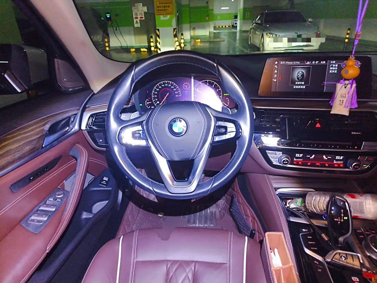 BMW 5 Series 2019 Facelifted 530Li Luxury Edition Premium Package — миниатюра 10