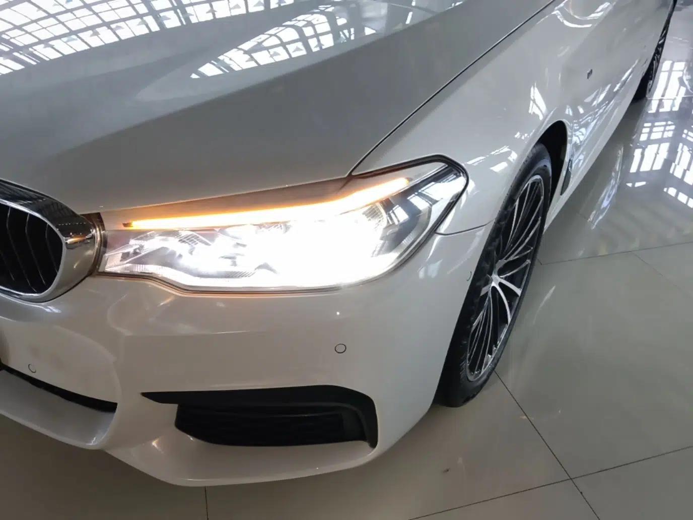 BMW 5 Series 2019 Restyled 530Li Luxury Edition M Sport Package — миниатюра 8
