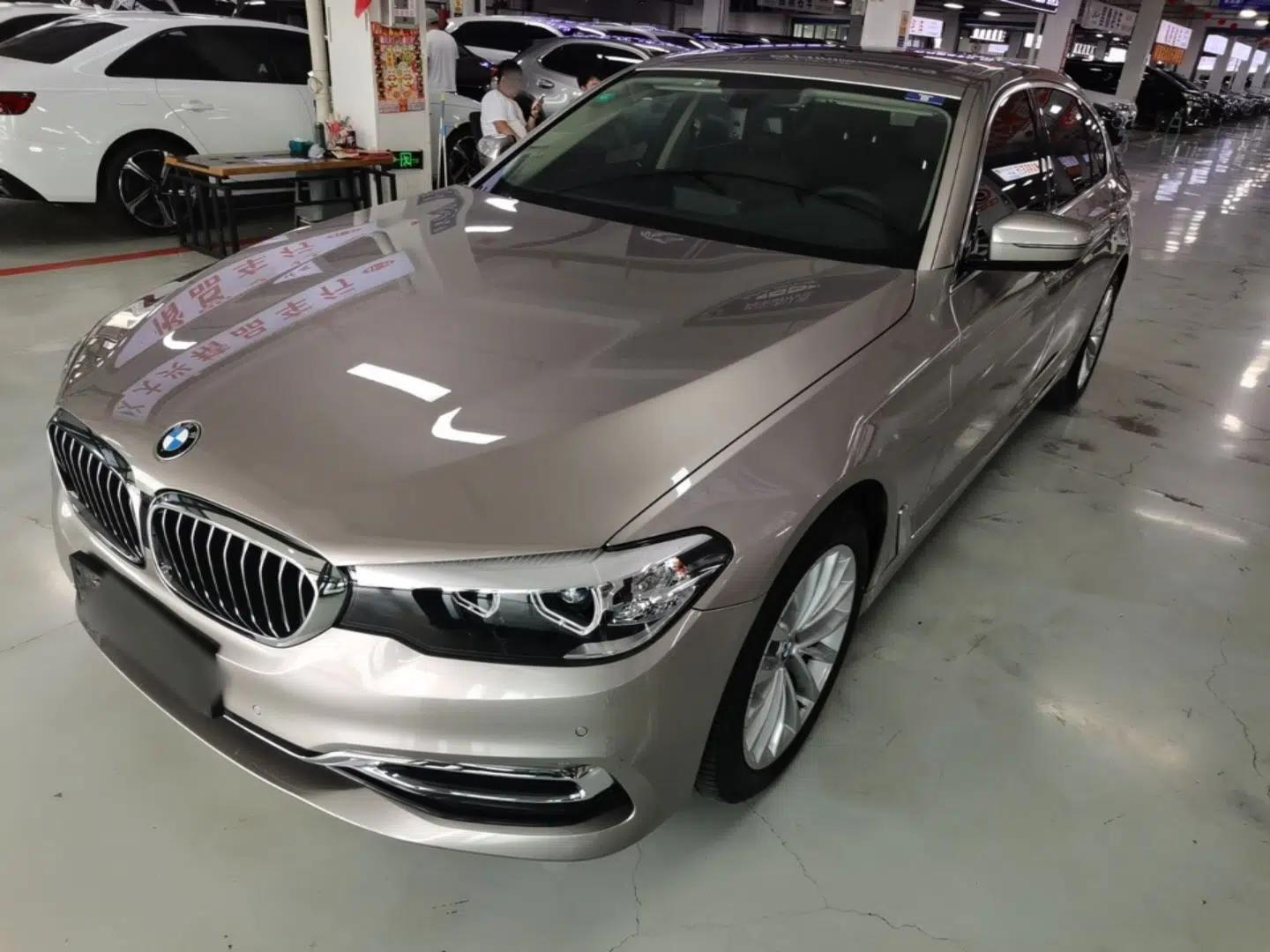 BMW 5 Series 2019 530Li xDrive Luxury Package — миниатюра 1