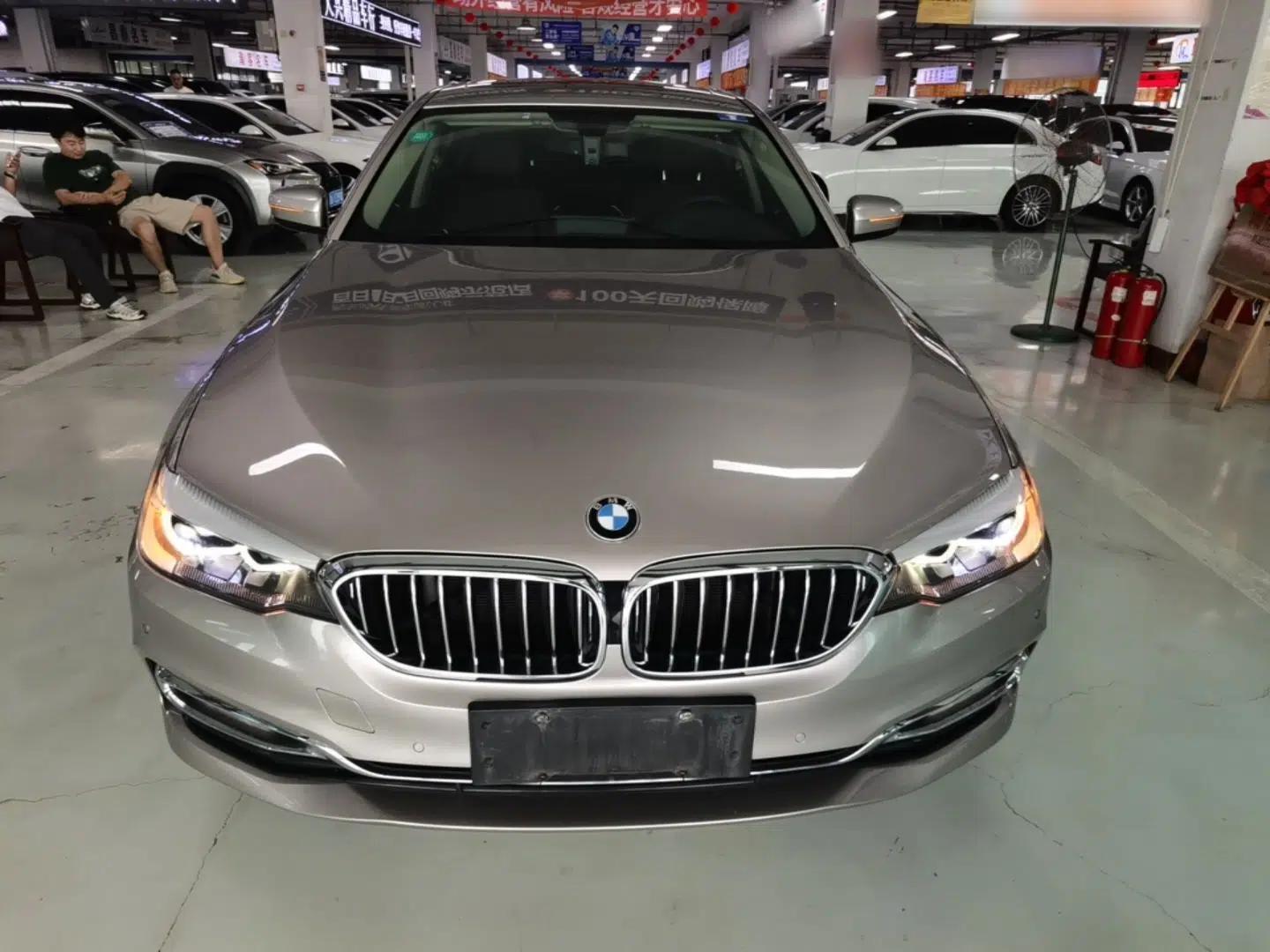 BMW 5 Series 2019 530Li xDrive Luxury Package — миниатюра 2