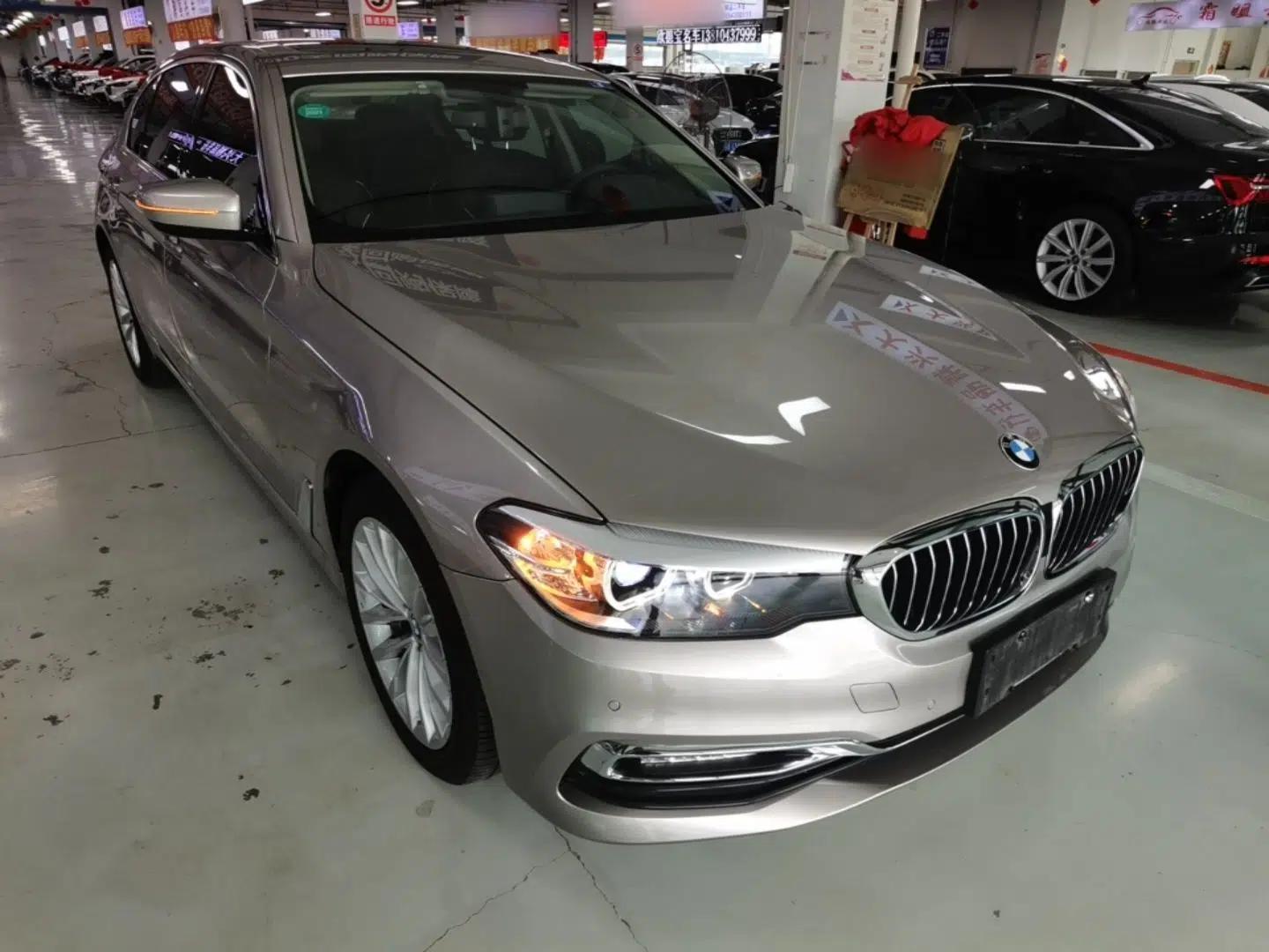 BMW 5 Series 2019 530Li xDrive Luxury Package — миниатюра 12