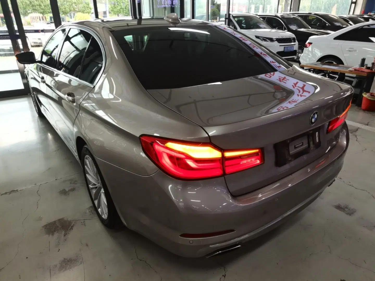 BMW 5 Series 2019 530Li xDrive Luxury Package — миниатюра 13