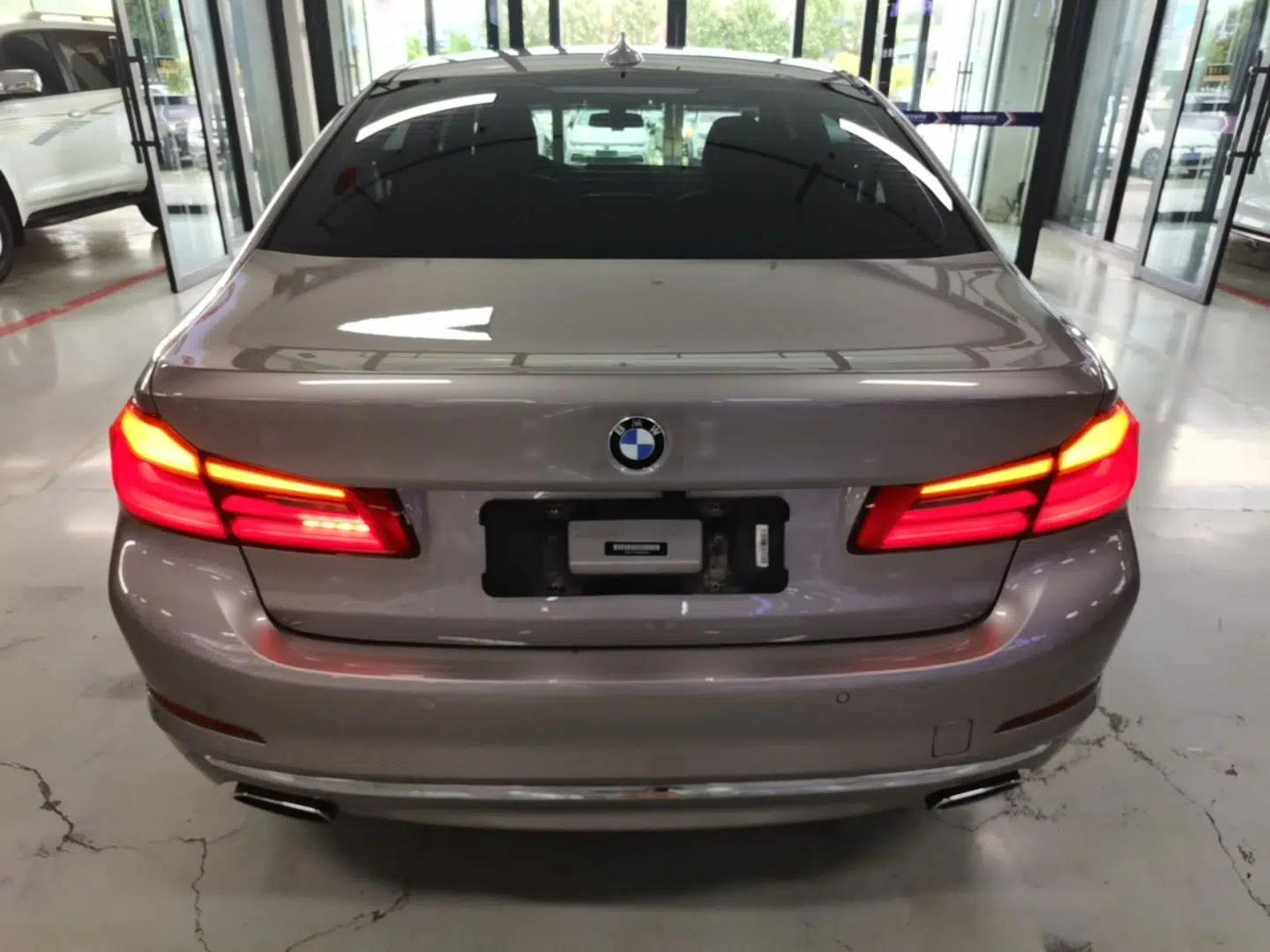 BMW 5 Series 2019 530Li xDrive Luxury Package — миниатюра 5