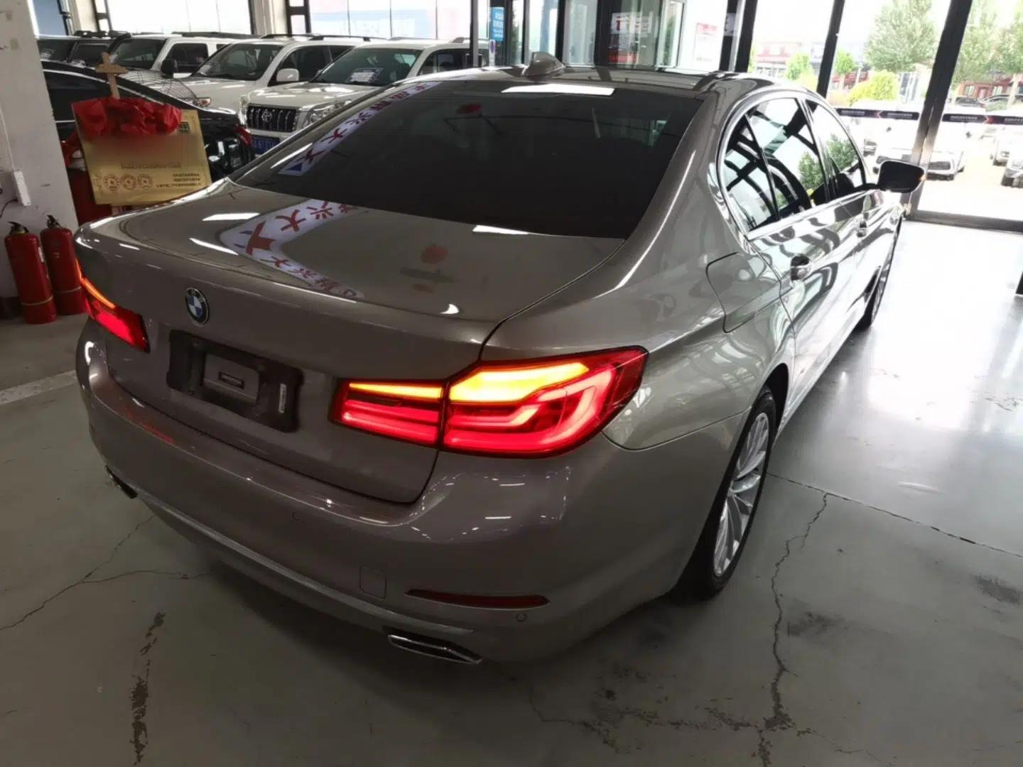 BMW 5 Series 2019 530Li xDrive Luxury Package — миниатюра 6