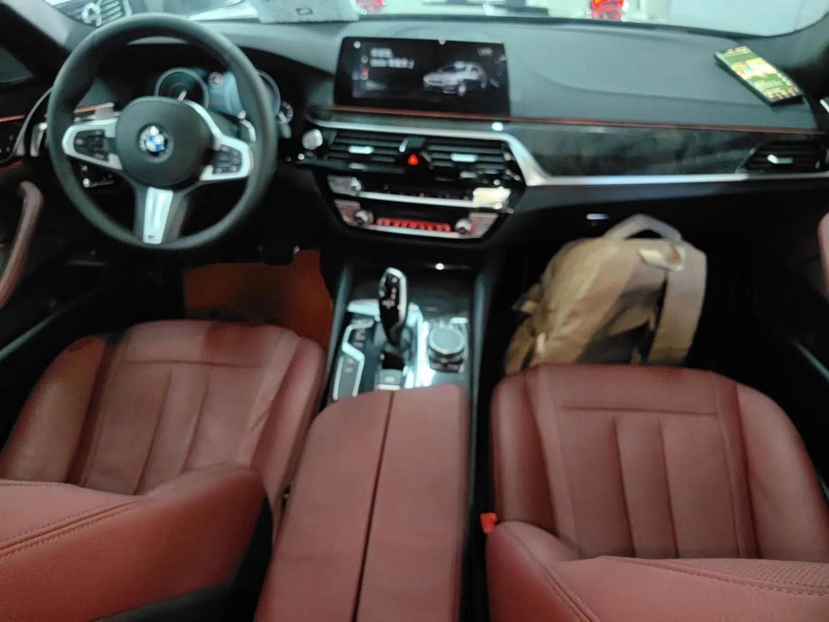 BMW 5 Series 2019 530Li Luxury Edition M Sport Package — миниатюра 12