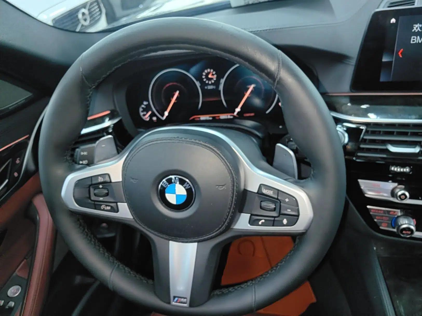 BMW 5 Series 2019 530Li Luxury Edition M Sport Package — миниатюра 13