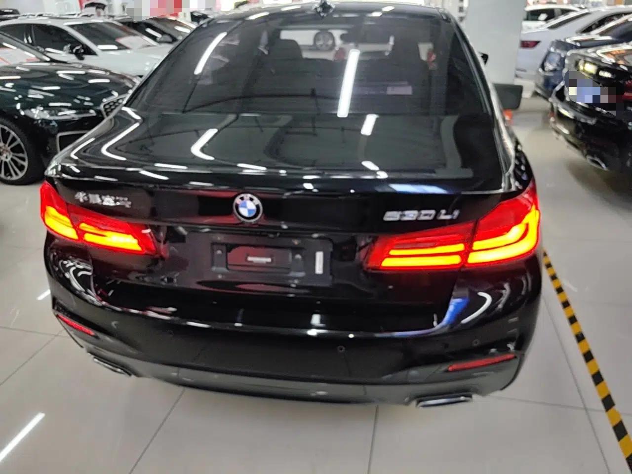 BMW 5 Series 2019 530Li Luxury Edition M Sport Package — миниатюра 5