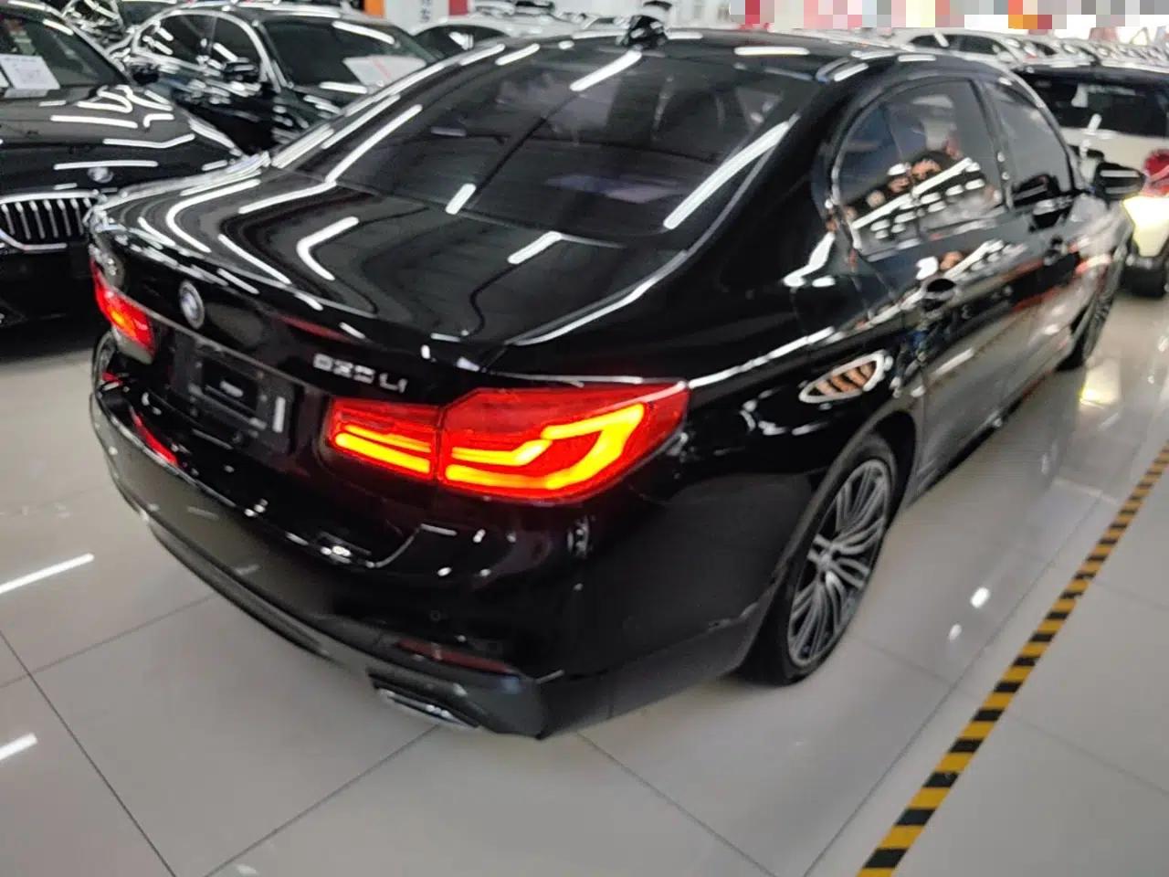 BMW 5 Series 2019 530Li Luxury Edition M Sport Package — миниатюра 6
