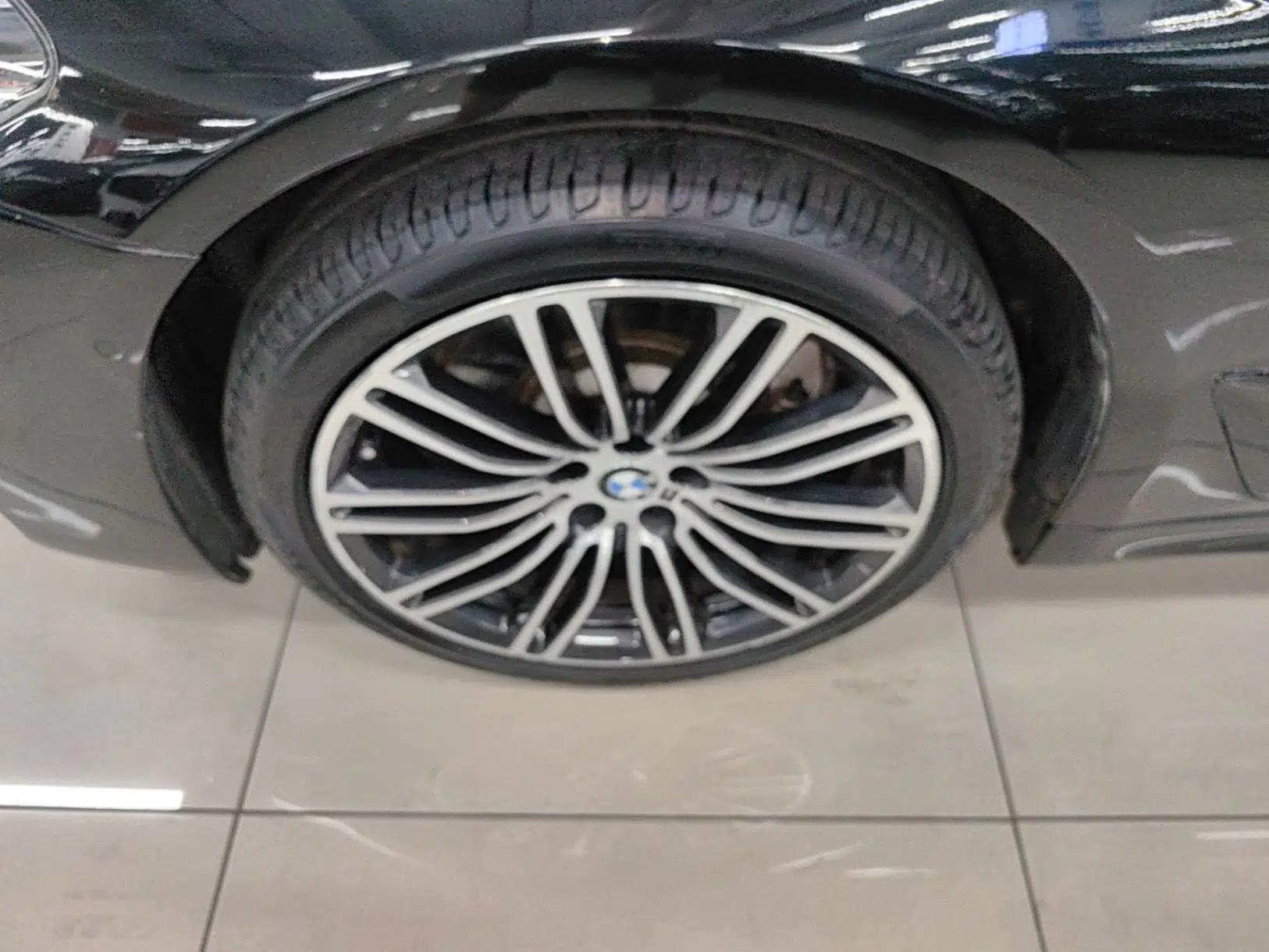 BMW 5 Series 2019 530Li Luxury Edition M Sport Package — миниатюра 10