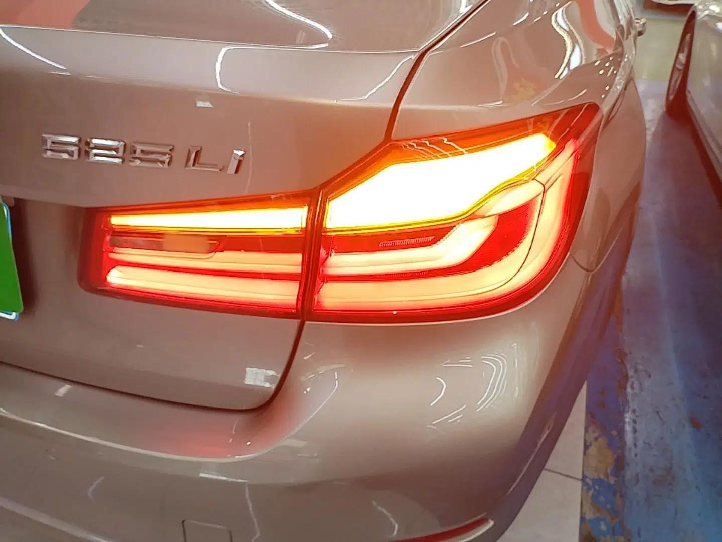 BMW 5 Series 2020 525Li Luxury Package — миниатюра 9
