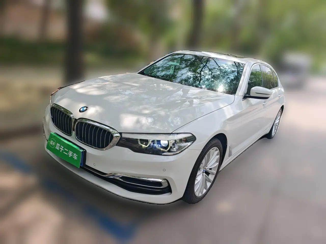 BMW 5 Series 2019 525Li Luxury Package — миниатюра 1