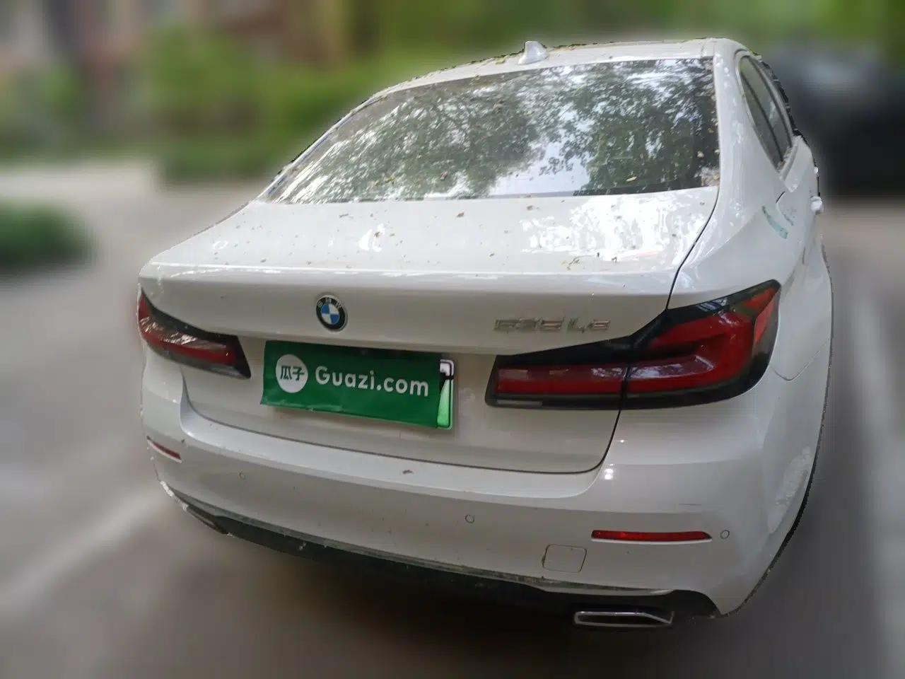 BMW 5 Series New Energy 2021 Updated 535Le Luxury Package — миниатюра 5