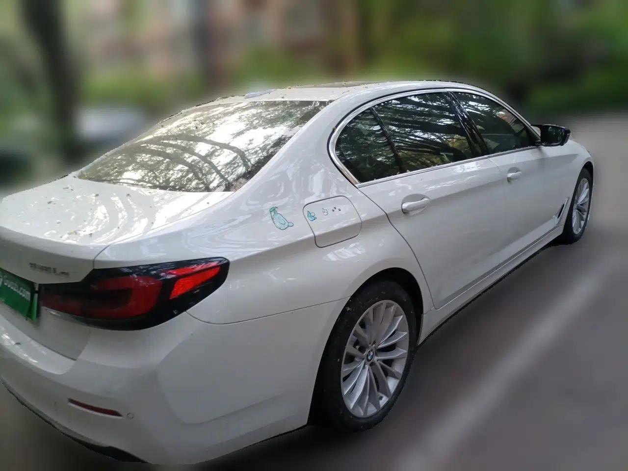 BMW 5 Series New Energy 2021 Updated 535Le Luxury Package — миниатюра 6