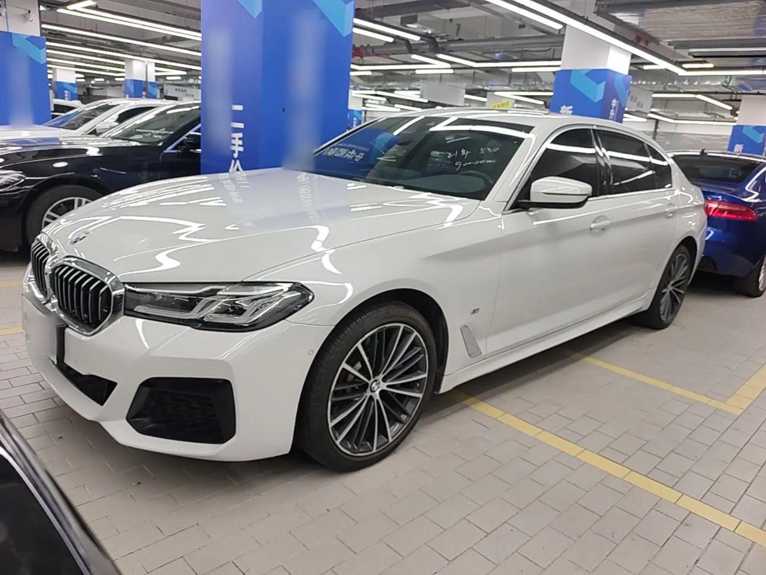BMW 5 Series 2021 530Li Leading Model M Sport Package — миниатюра 1