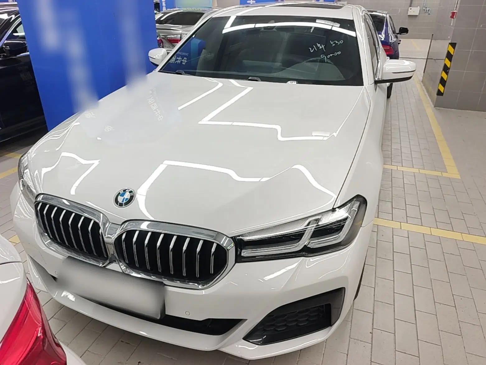 BMW 5 Series 2021 530Li Leading Model M Sport Package — миниатюра 2