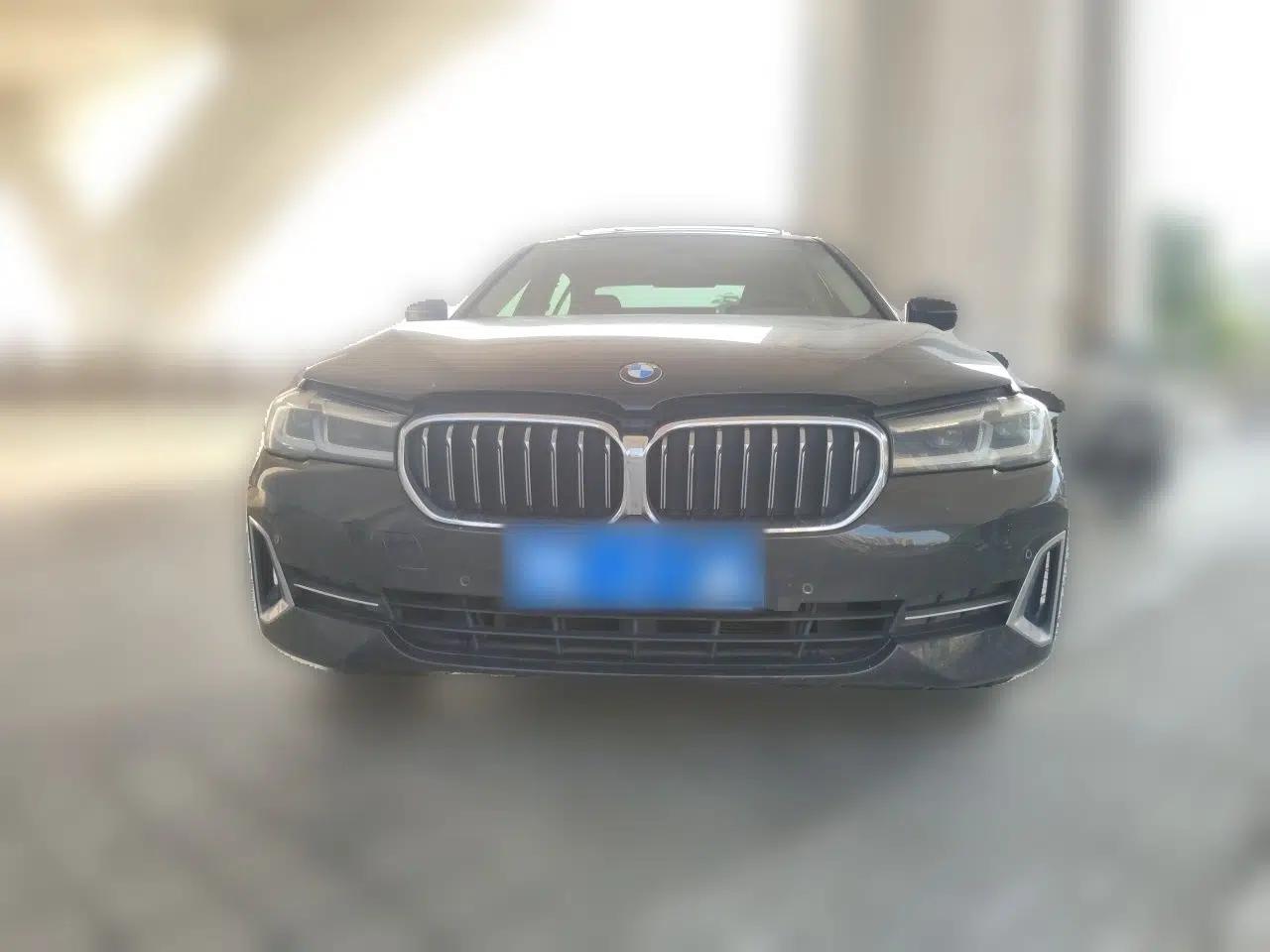 BMW 5 Series 2022 530Li Leading Luxury Package — миниатюра 2