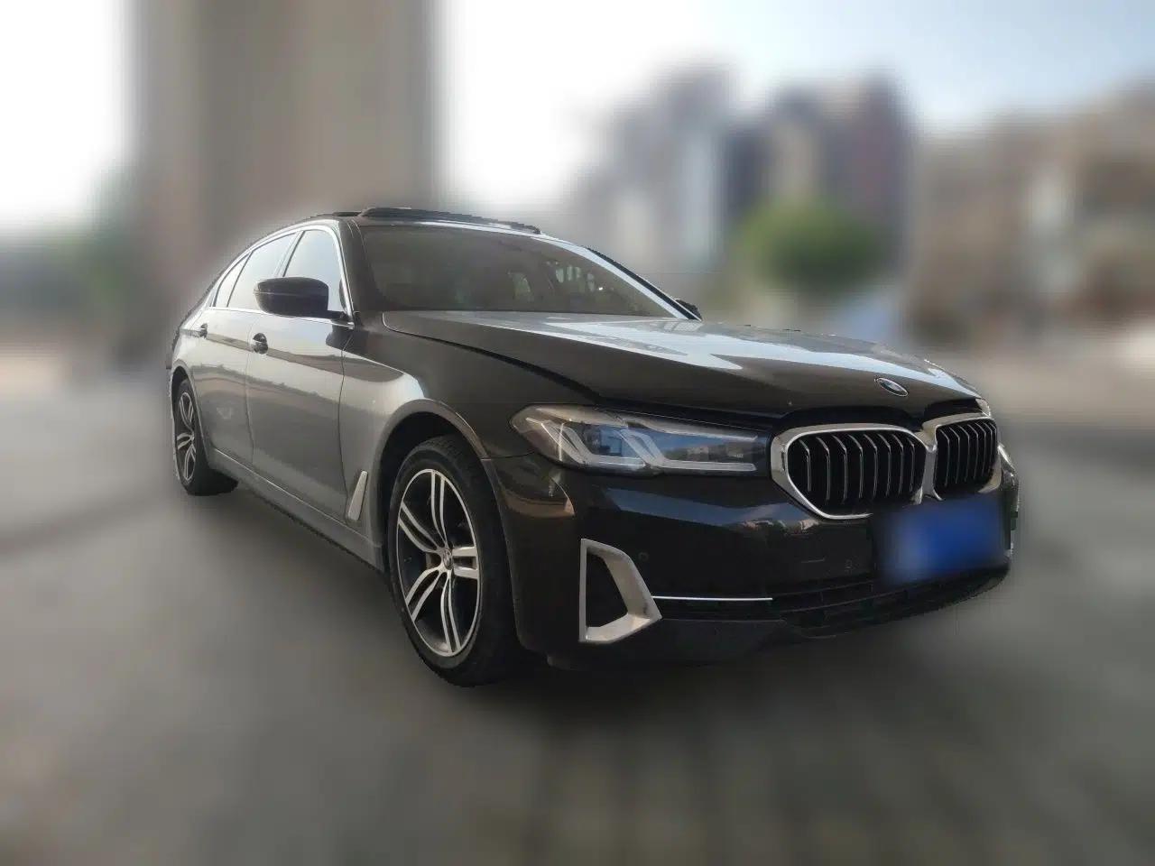 BMW 5 Series 2022 530Li Leading Luxury Package — миниатюра 3