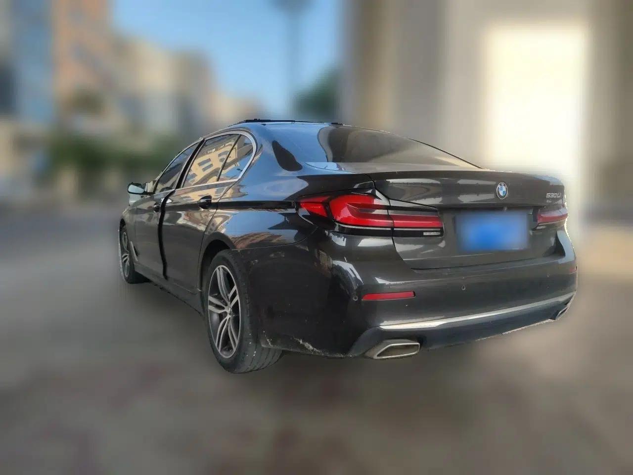 BMW 5 Series 2022 530Li Leading Luxury Package — миниатюра 4