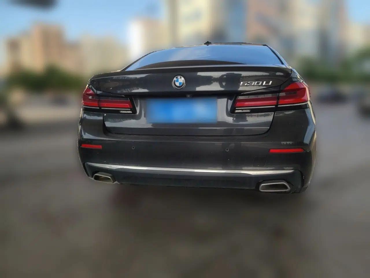 BMW 5 Series 2022 530Li Leading Luxury Package — миниатюра 5