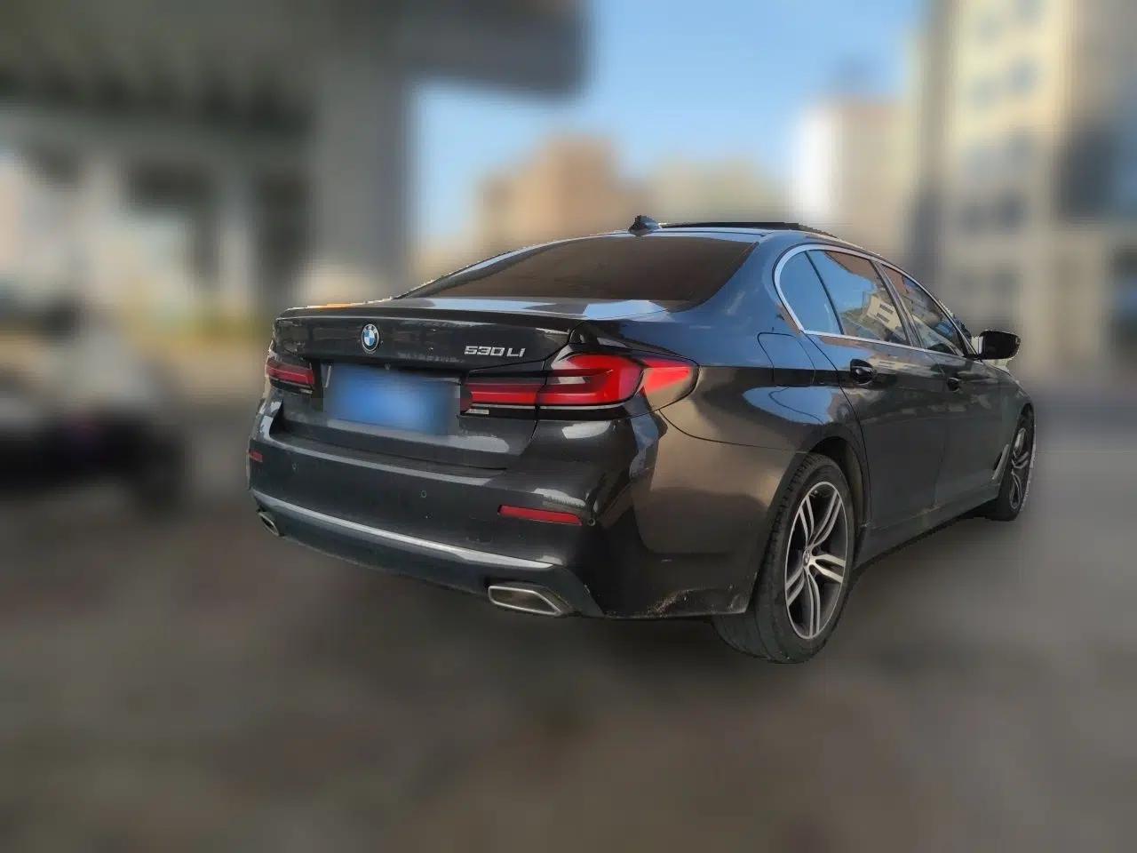 BMW 5 Series 2022 530Li Leading Luxury Package — миниатюра 6
