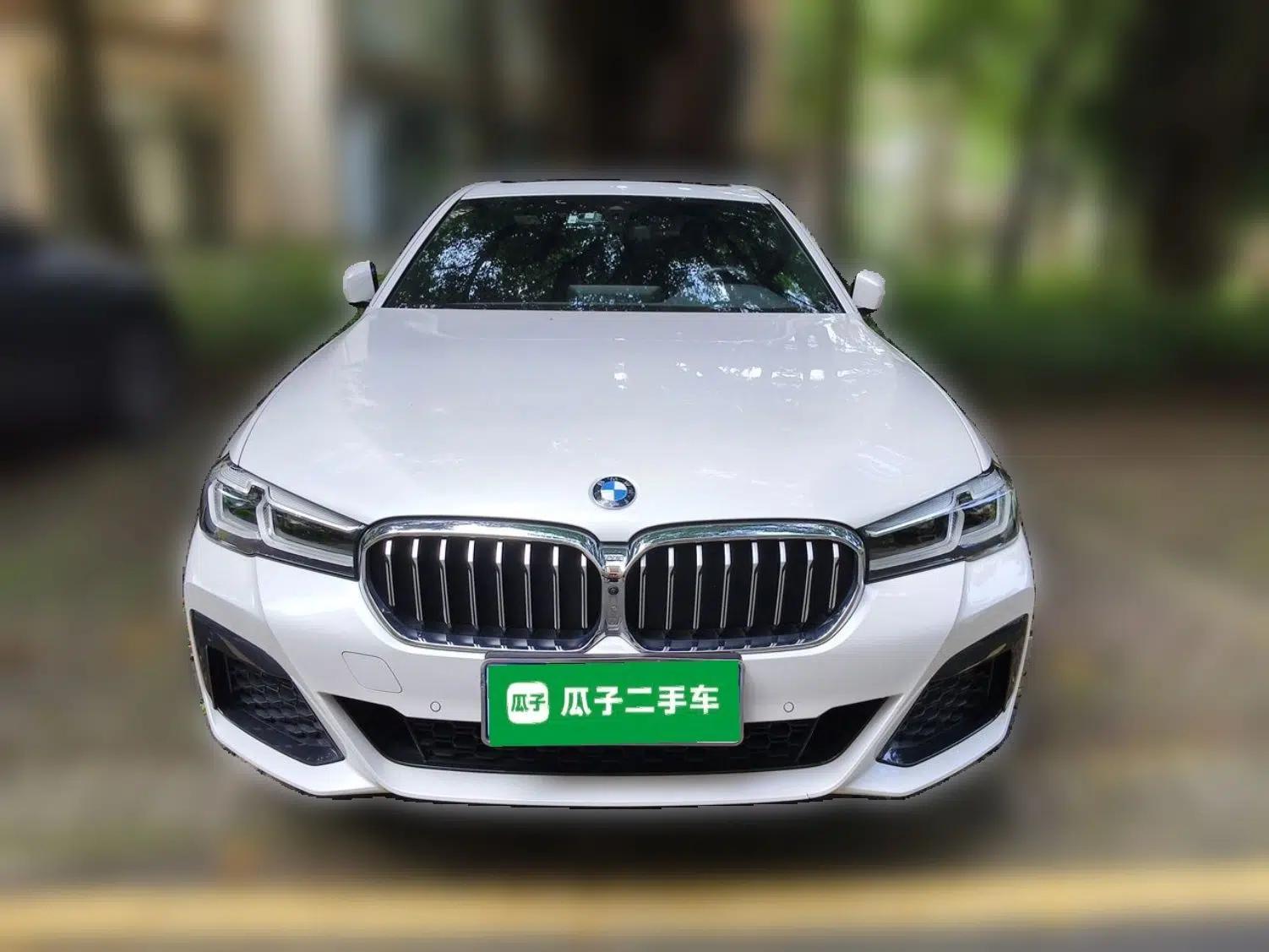 BMW 5 Series 2022 Revised Version 3 530Li Luxury Edition M Sport Package — миниатюра 2