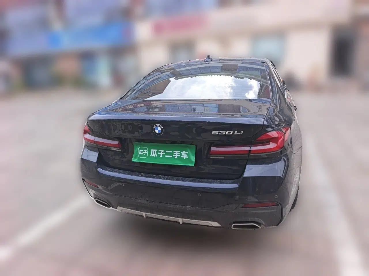 BMW 5 Series 2021 530Li Leading Model M Sport Package — миниатюра 5