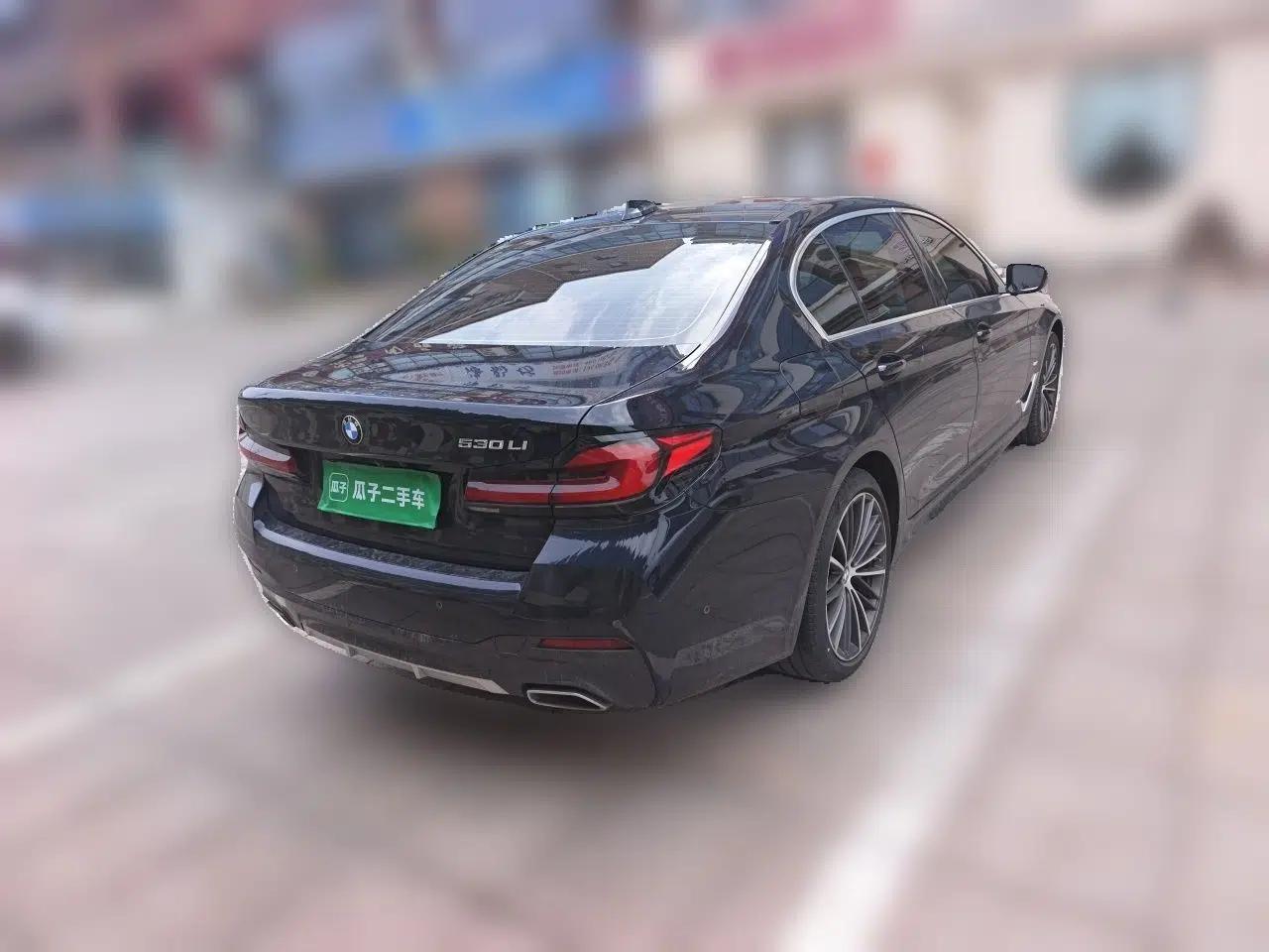 BMW 5 Series 2021 530Li Leading Model M Sport Package — миниатюра 6