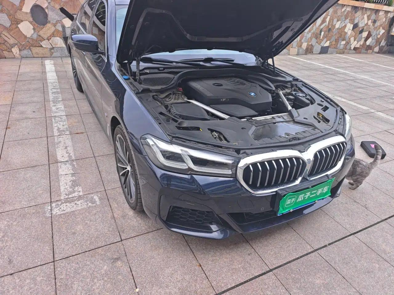 BMW 5 Series 2021 530Li Leading Model M Sport Package — миниатюра 7