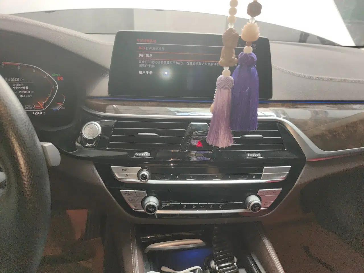 BMW 5 Series 2020 525Li Luxury Package — миниатюра 13