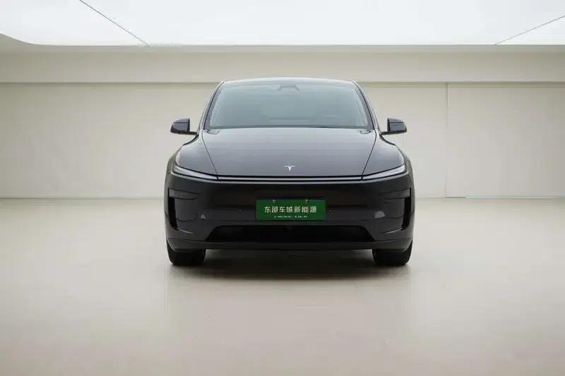 Model Y 2025 Long Range All-Wheel Drive — миниатюра 2