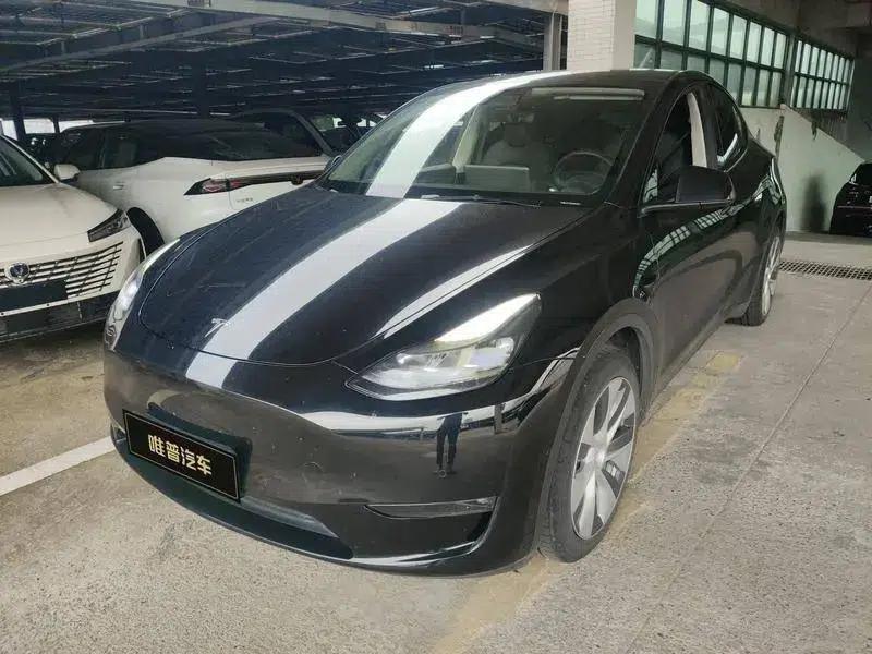 Model Y 2021 Standard Range Rear-Wheel Drive — миниатюра 1