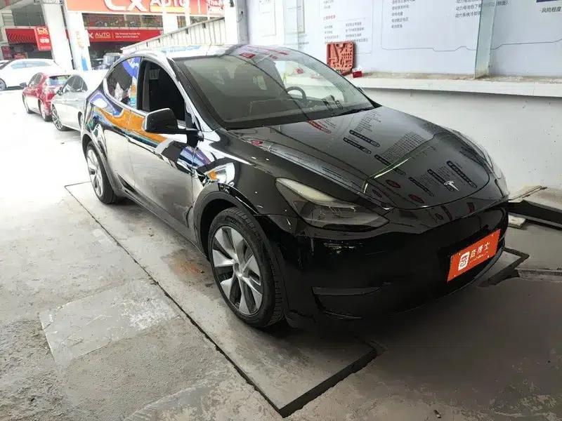 Model Y 2021 Standard Range Rear-Wheel Drive — миниатюра 2