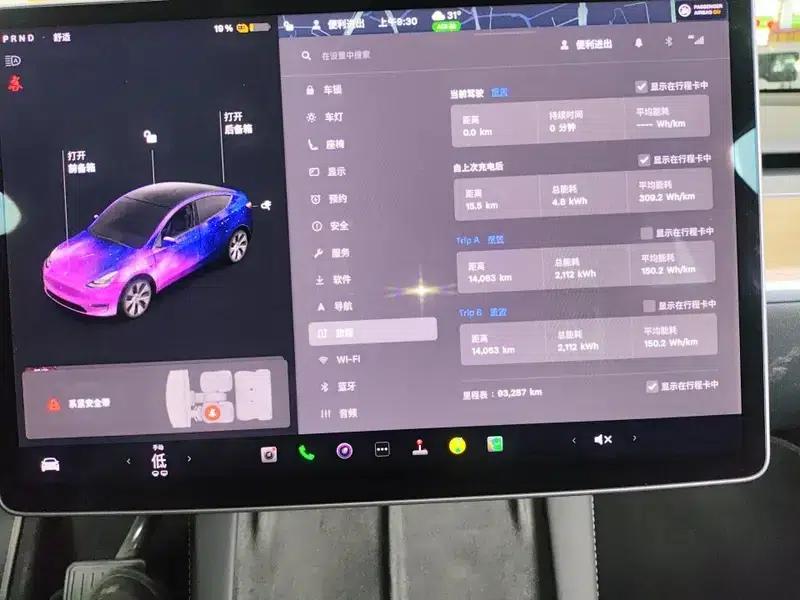 Model Y 2021 Standard Range Rear-Wheel Drive — миниатюра 6