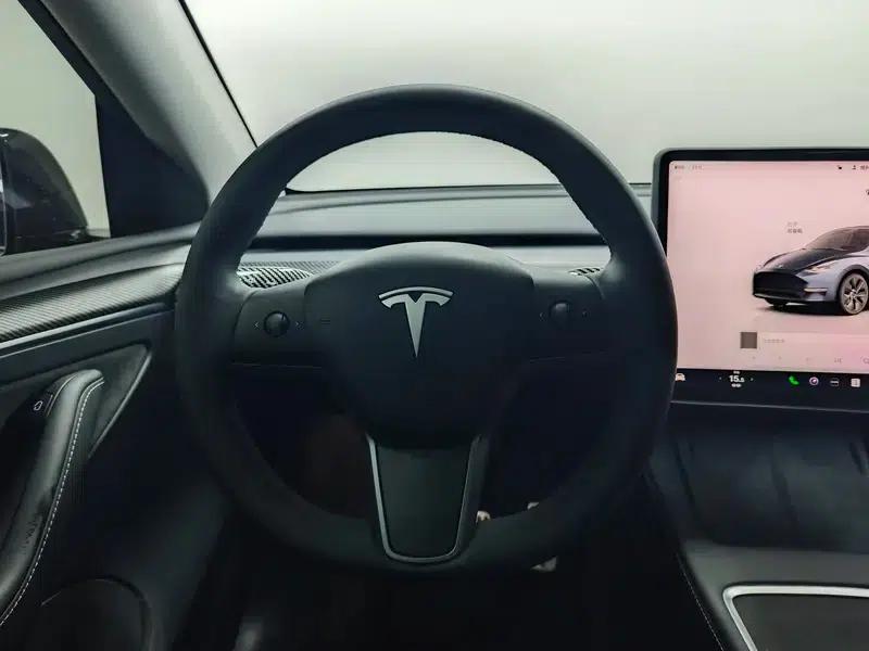 Model Y 2024 Long Range All-Wheel Drive — миниатюра 16