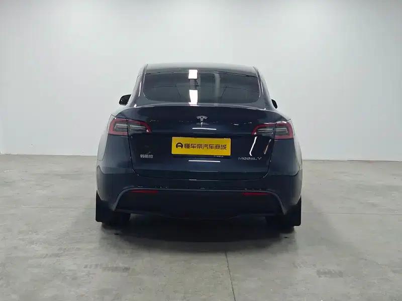 Model Y 2024 Long Range All-Wheel Drive — миниатюра 6