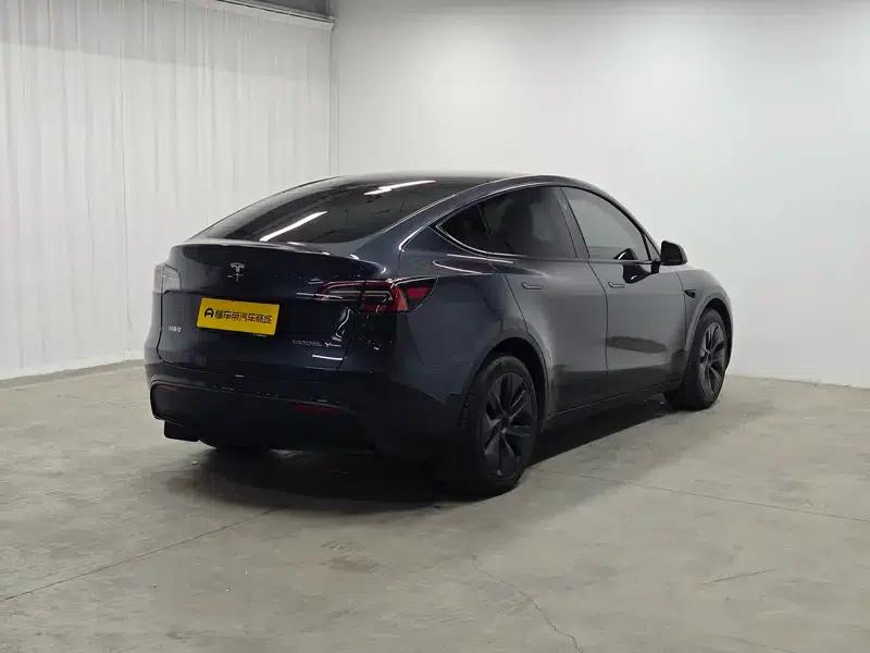 Model Y 2024 Long Range All-Wheel Drive — миниатюра 7