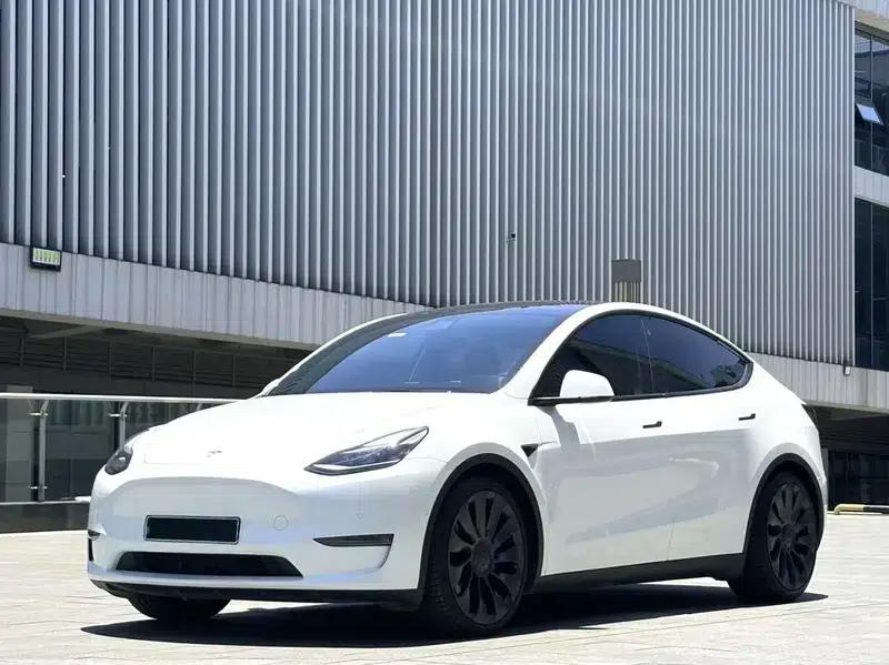 Model Y 2021 Performance All-Wheel Drive — миниатюра 1