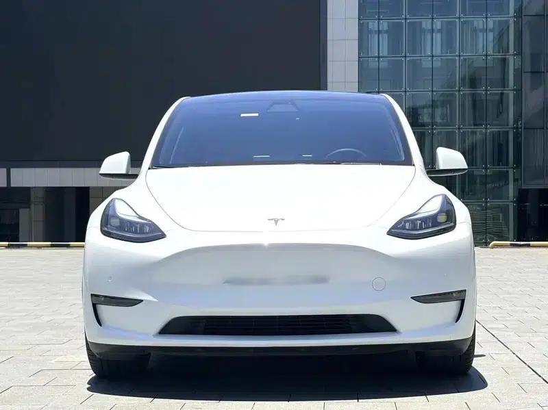 Model Y 2021 Performance All-Wheel Drive — миниатюра 2