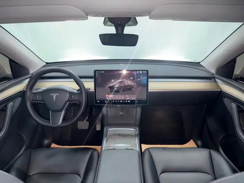 Model Y 2022 Long Range All-Wheel Drive — миниатюра 7