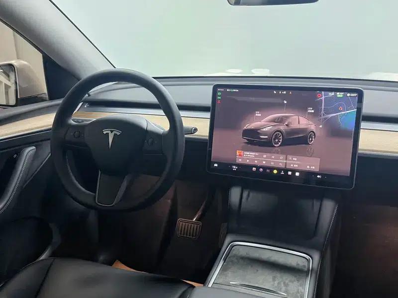 Model Y 2022 Long Range All-Wheel Drive — миниатюра 9