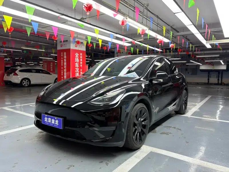 Model Y 2021 Long Range All-Wheel Drive — миниатюра 1