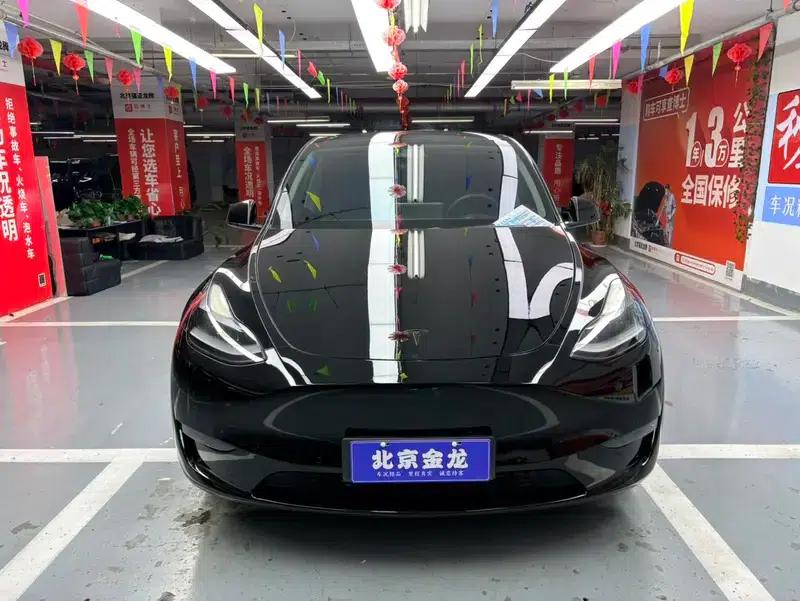 Model Y 2021 Long Range All-Wheel Drive — миниатюра 2