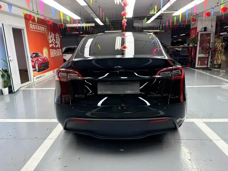 Model Y 2021 Long Range All-Wheel Drive — миниатюра 3