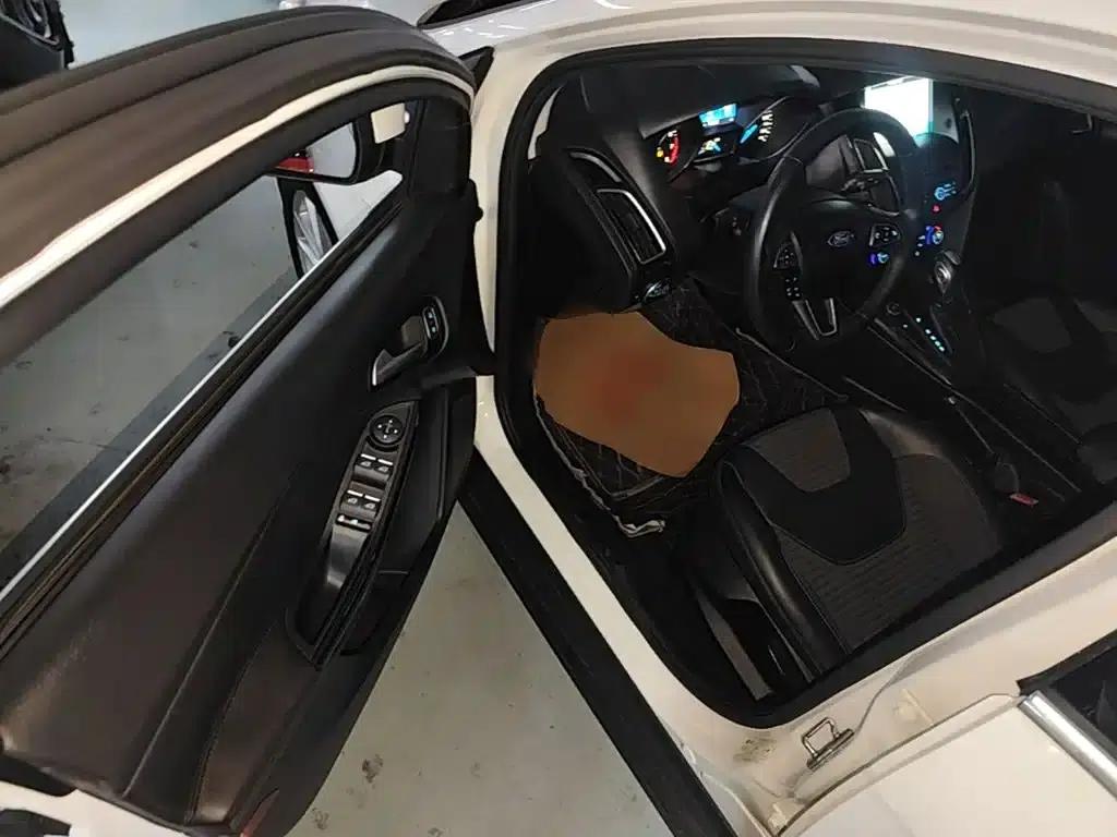 2017 Ford Focus Hatchback EcoBoost 180 Automatic Elite — миниатюра 16