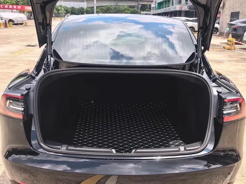 Model 3 2020 Facelift Standard Range Rear-Wheel Drive Upgrade — миниатюра 16