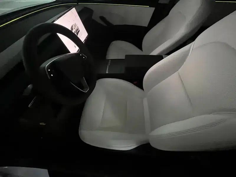 Model 3 2025 Long Range Rear-Wheel Drive — миниатюра 14