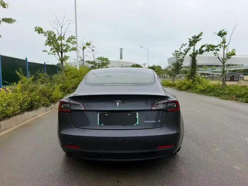 Model 3 2020 Facelift Standard Range Rear-Wheel Drive Upgrade — миниатюра 4